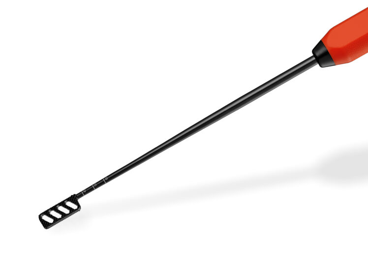 22 Versetzte Raspelspitze Nahaufnahme