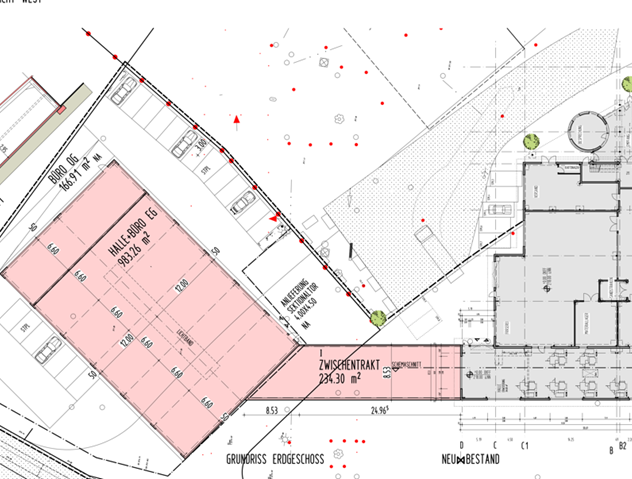 Friedrich Daniels Solingen Second Expansion