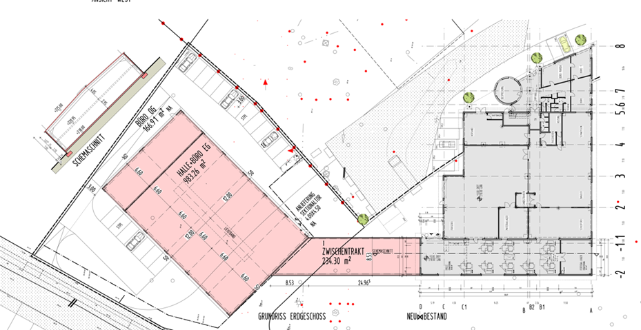 Friedrich Daniels Solingen Second Expansion
